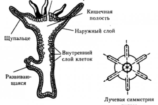 Новая ссылка на кракен